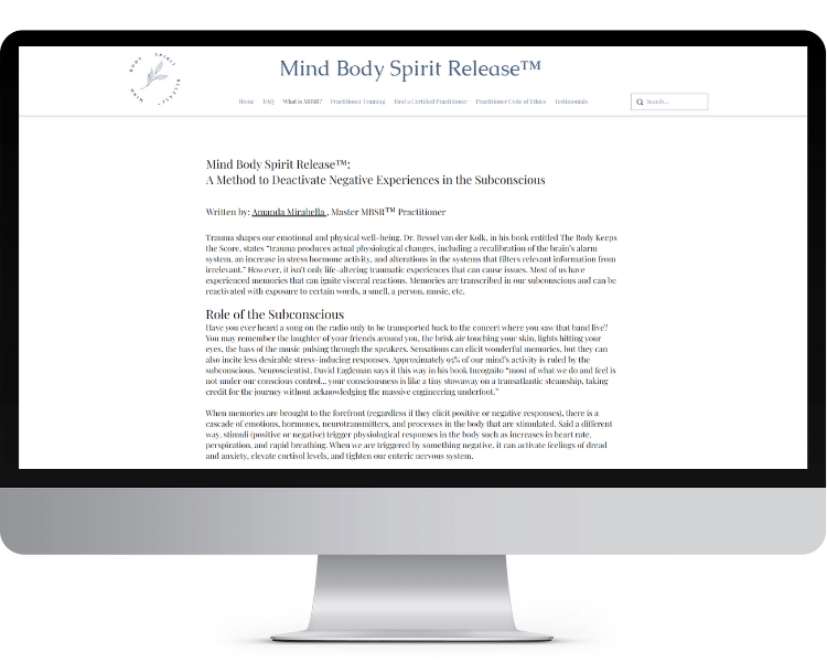 Website Design Screenshot for MBSR Old Version